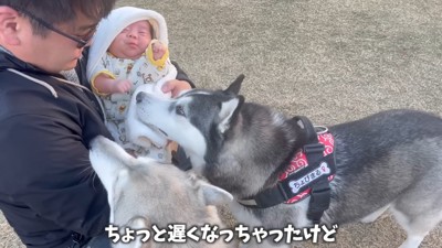 親友のちょびちゃんに赤ちゃんを紹介