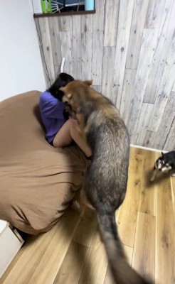 つな君の愛情表現4