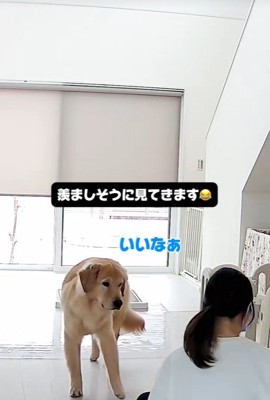 子育て中の家族とこてつ君の日常6