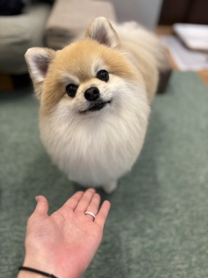 はて？