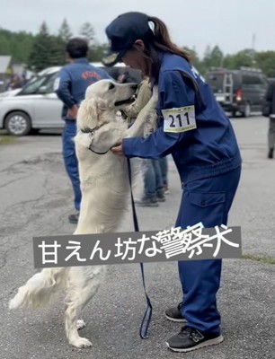 立ち上がって向き合う犬と人