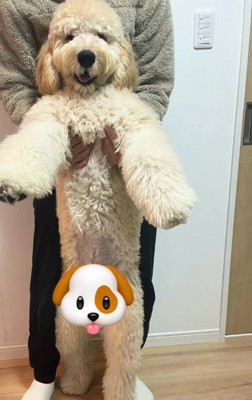 まさかの20キロ越え！！