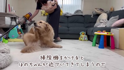 大忙しのママとわんこたち