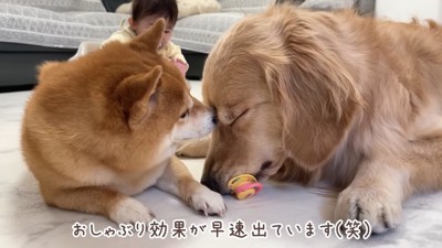 「夢にまで見たおしゃぶり…♡」