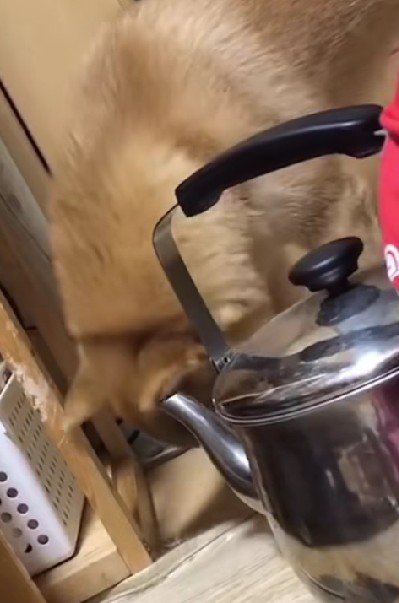 誇らしげに立ち去った