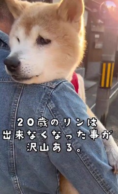 抱っこでお散歩することも♪