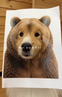 クマの顔にすっぽり収まる犬