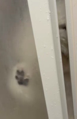 何度閉めても…