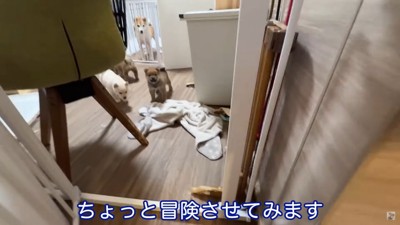 扉の外へ大冒険!