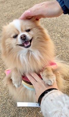 撫でられてニッコリ♡