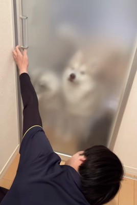 ソワソワ…