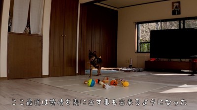 「誰か帰ってきた!」