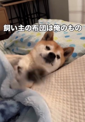 ビクッと動いた瞬間の犬