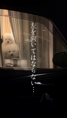 車の窓から見た外の風景