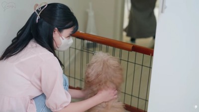 飼い主さんとバイバイ…