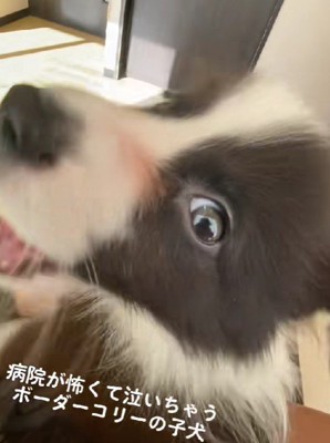 空ちゃんに異変が…