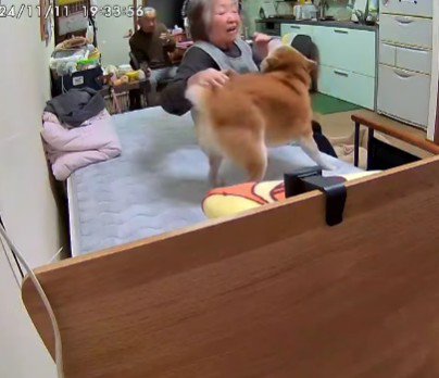 「なでてなでて!」