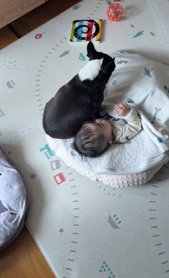 こんぶちゃんと赤ちゃん3