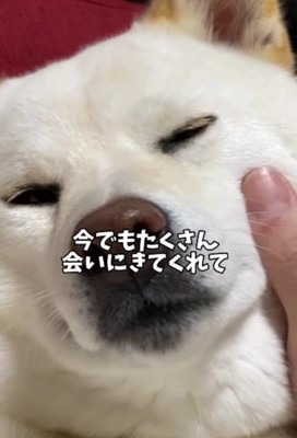 たびたび帰省してくれるけど…