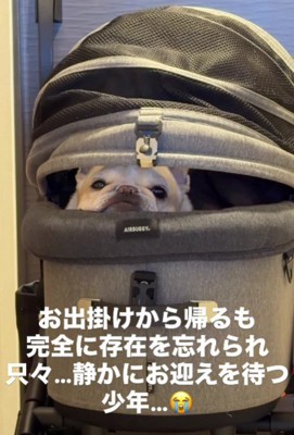 帰宅したけれど…