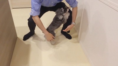 ティノちゃんとパパさんの再会5