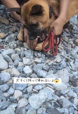 怒りながら抵抗！