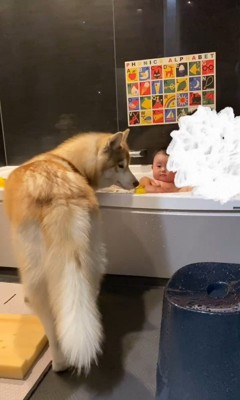 お風呂で遊ぶ赤ちゃんと茶々丸くん3