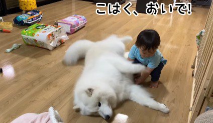 何度も挑戦したけど…