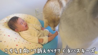 「ママ、ちょっと見てあげて」