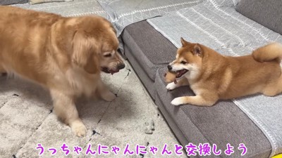 毅然とした態度で注意