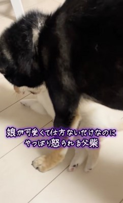 「おでのむつめー！！」