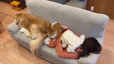 微笑ましい家族団らんでした