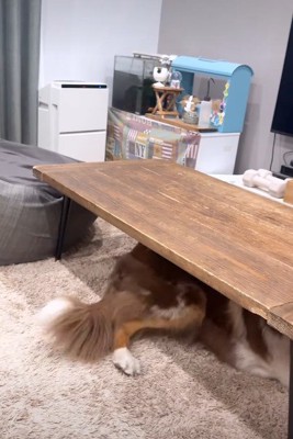 テーブルの下へ避難