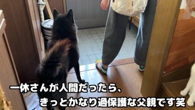 「ママ、みーちゃん大丈夫？」