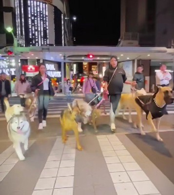 街中では大注目！！