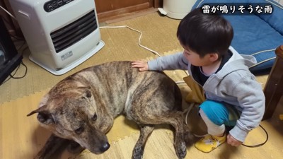 雷を怖がるりゅうさん＆励ます家族3