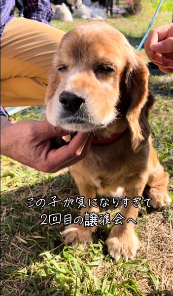 目を閉じる茶子ちゃん