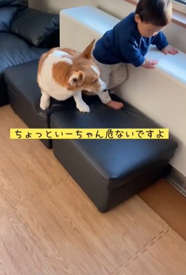 男の子が段差を降りる時のサクくん5