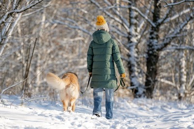 散歩する後ろ姿、雪道