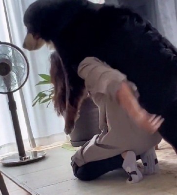 おんぶしてほしい！！