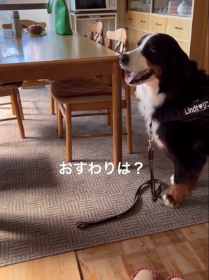 おすわりは？