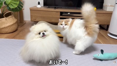 「一緒にねんねしよう」と誘ったら…