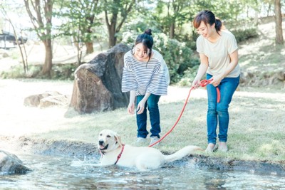水遊びする犬と見守る女性