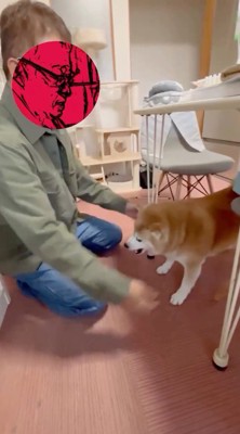 男性に少しずつ近寄る犬