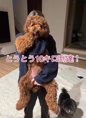 体重10キロまで成長♪