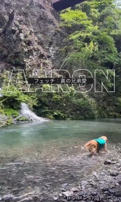 アーロンくんと川遊び中の出来事2