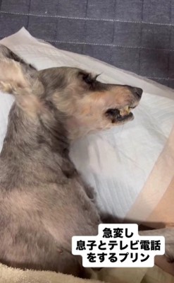 力を振り絞って…