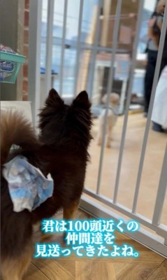 幸せを掴んだしずと君2