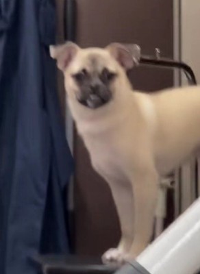 キリっと佇む姿は…