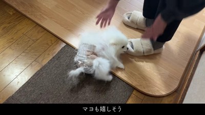 涙腺がゆるみます…♡